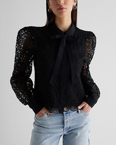 Eyelet Lace Tie Neck Puff Sleeve Top | Express