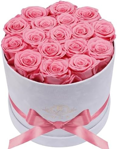 17 Flowers in a Luxury Suede Box, Birthday Gifts for Women, Preserved Flowers, Mothers Day Roses ... | Amazon (US)