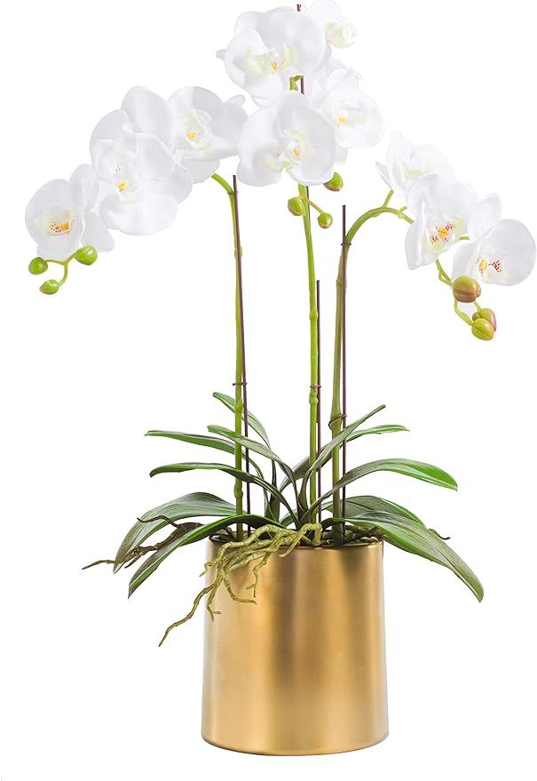 Artificial Silk Moth Orchid Flowers Potting in Matte Gold Ceramic Vase, Real Touch Natural Lookin... | Amazon (US)