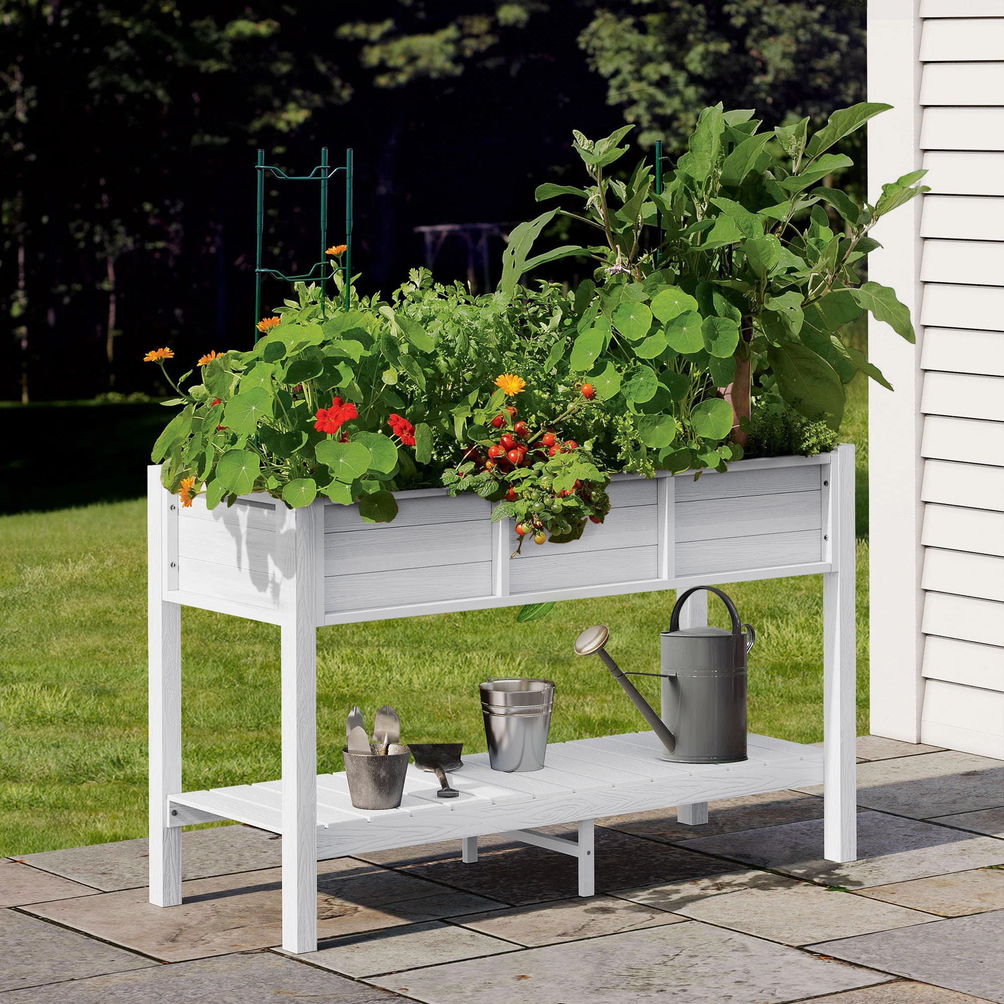 Avreet Elevated Planter | Wayfair North America