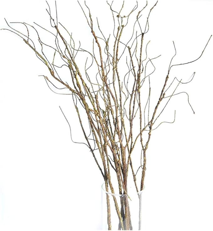 Pursuestar 5Pcs 29.5" Lifelike Dry Willow Branches Bendable Iron Wires Artificial Floral Flower S... | Amazon (US)