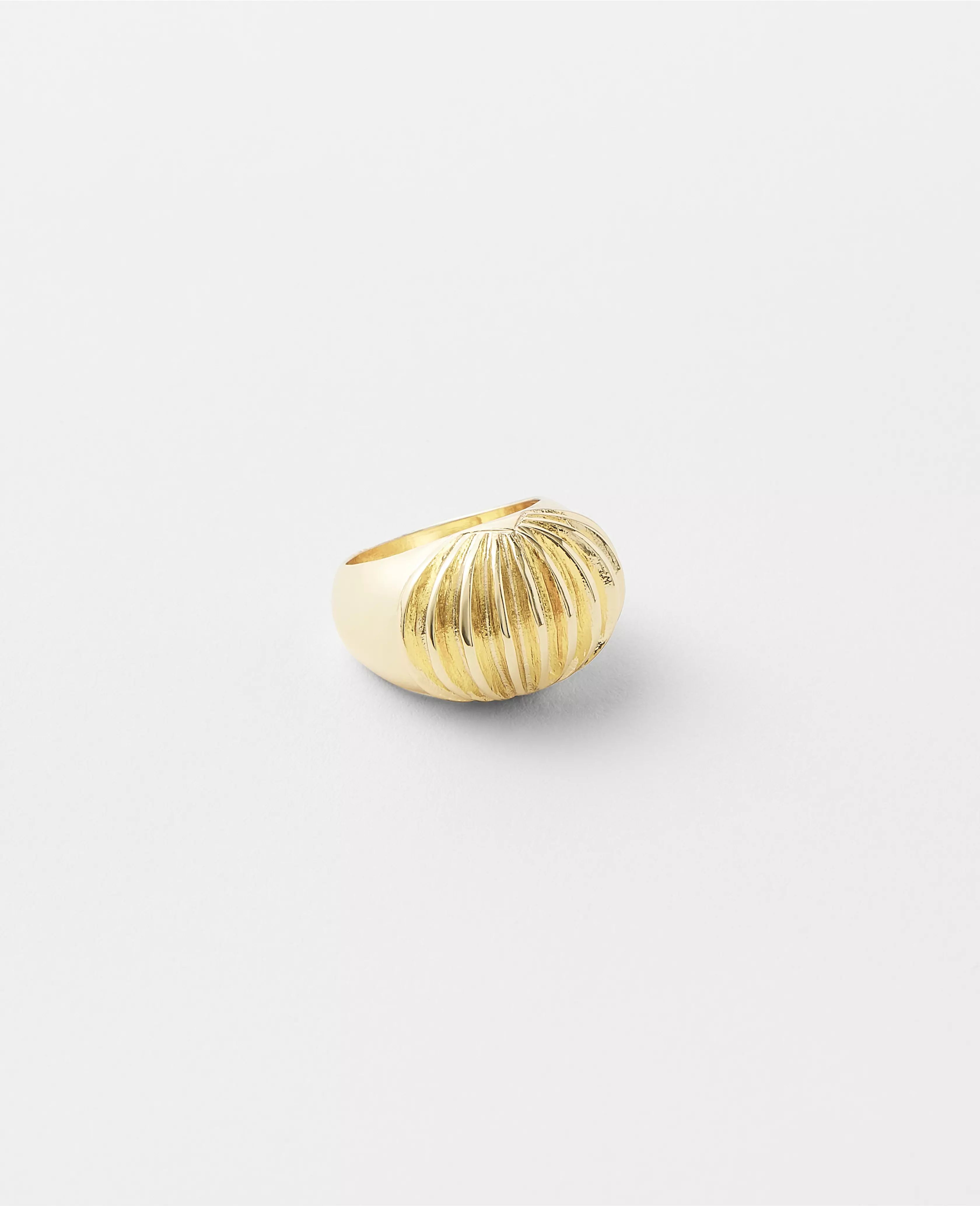 Textured Dome Ring | Ann Taylor (US)