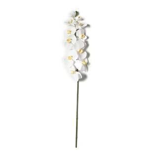 White Orchid Stem by Ashland® | Floral Stems | Michaels | Michaels Stores
