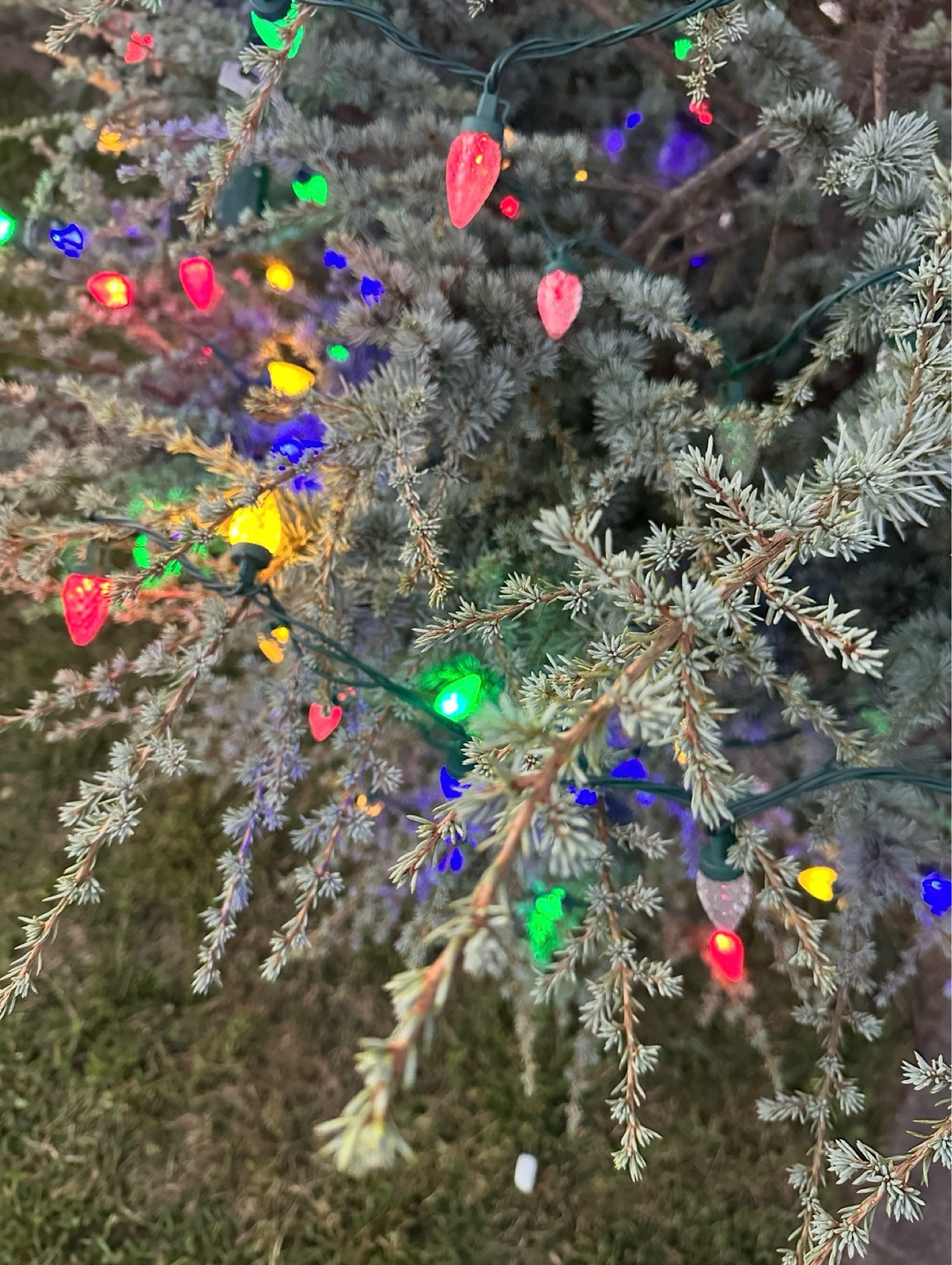 #ad #LowesPartner #liketkit #ltkhome @loweshomeimprovement 

#LTKSeasonal #LTKHome