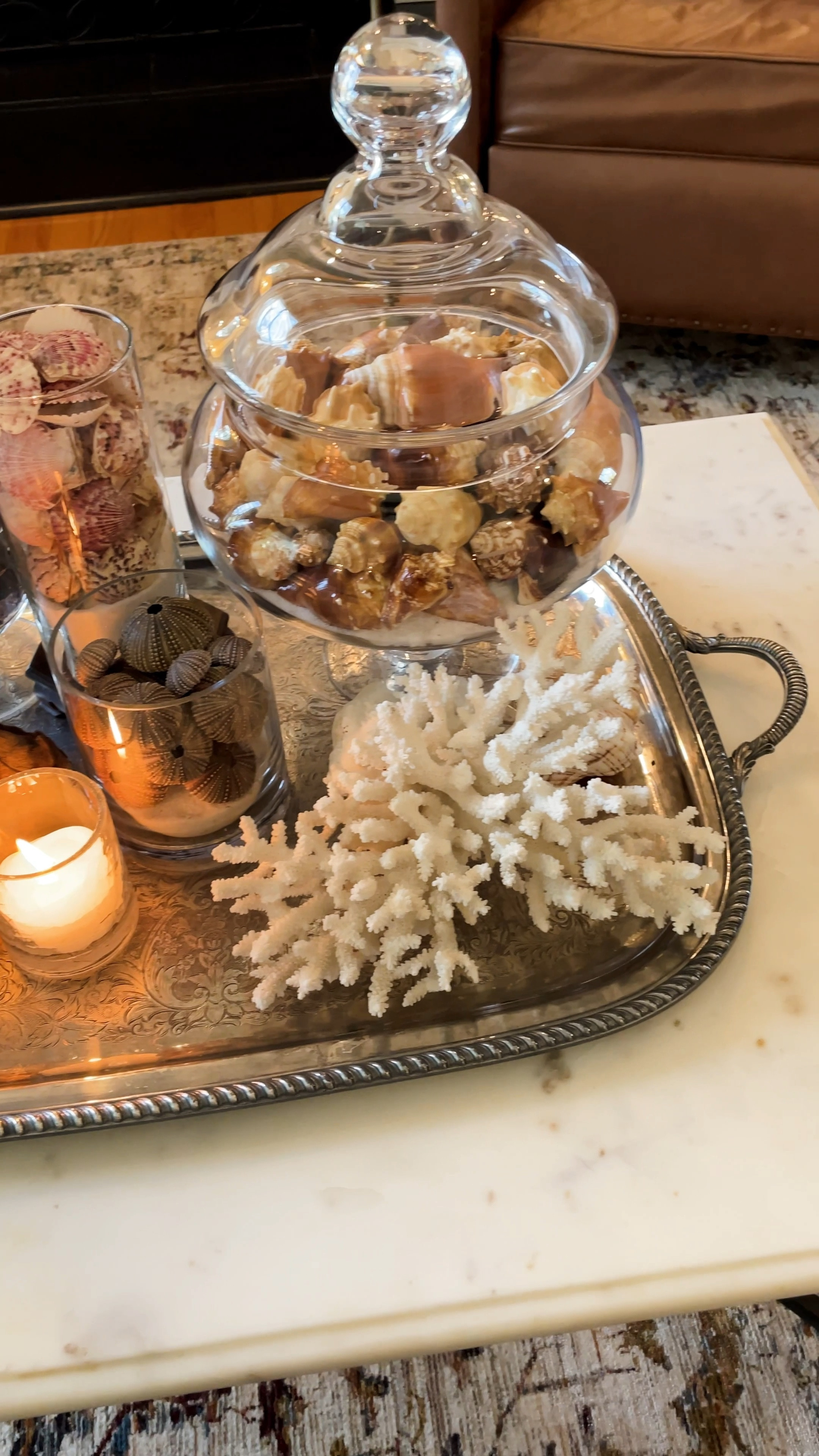  Beautiful silver plated trays are perfect to display any collection 🤩



#LTKhome #LTKVideo