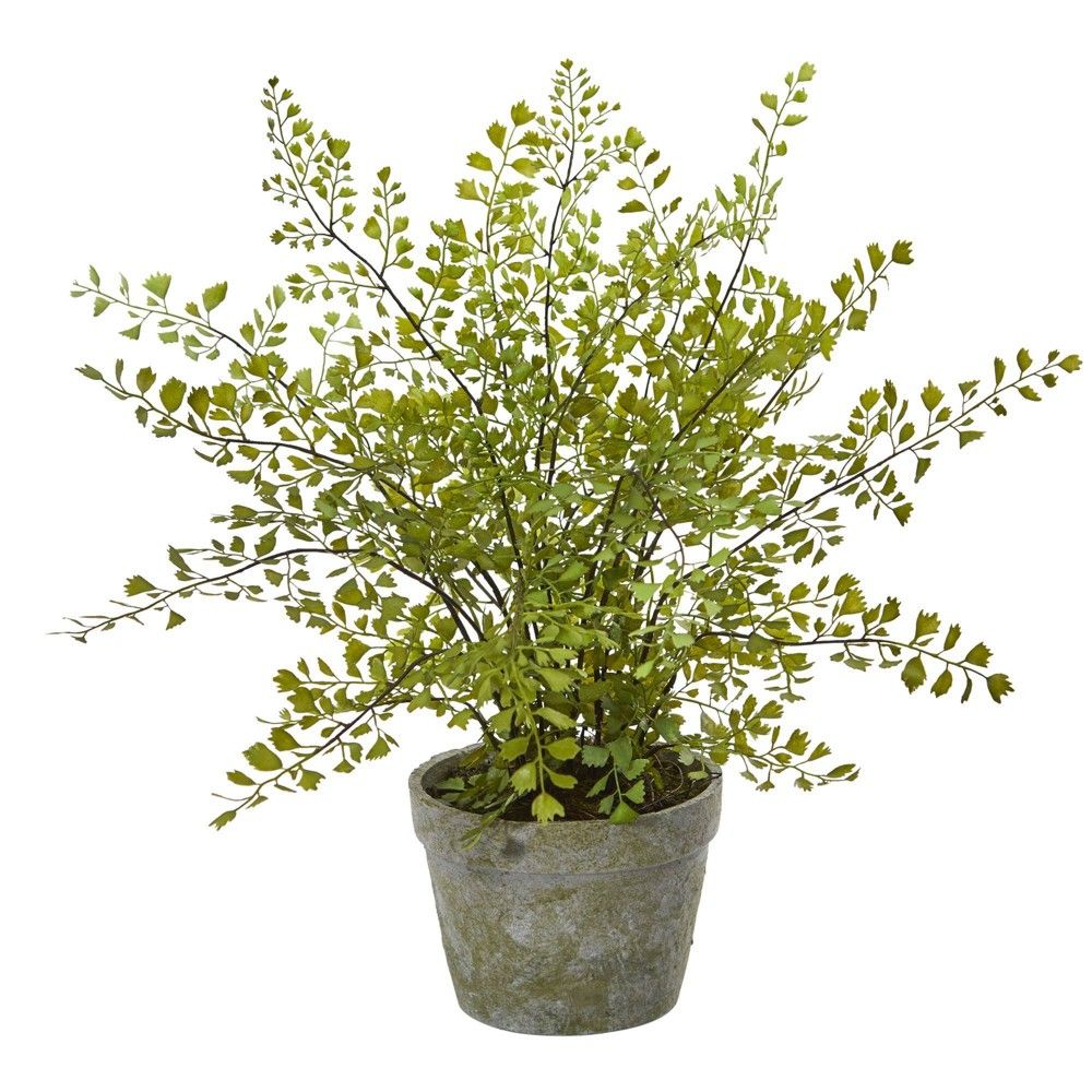 13"" x 16"" Artificial Maiden Hair Plant in Decorative Planter - Nearly Natural | Target