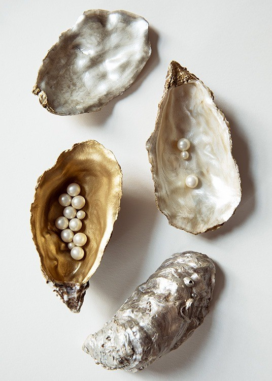 Oyster Shells No1 Poster | Desenio