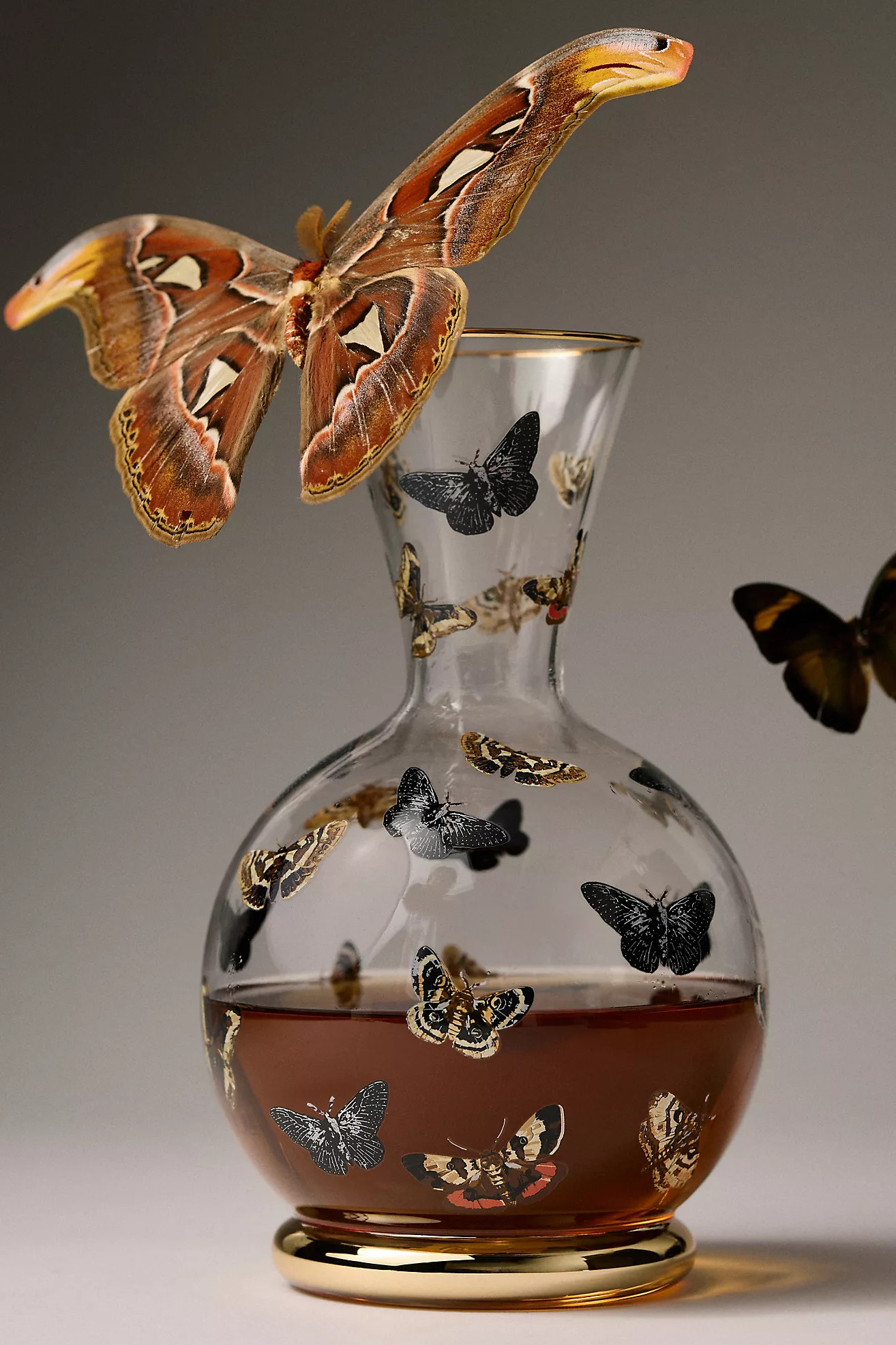 Catherine Martin Midnight Creatures Decaled Glass Decanter | Anthropologie (US)
