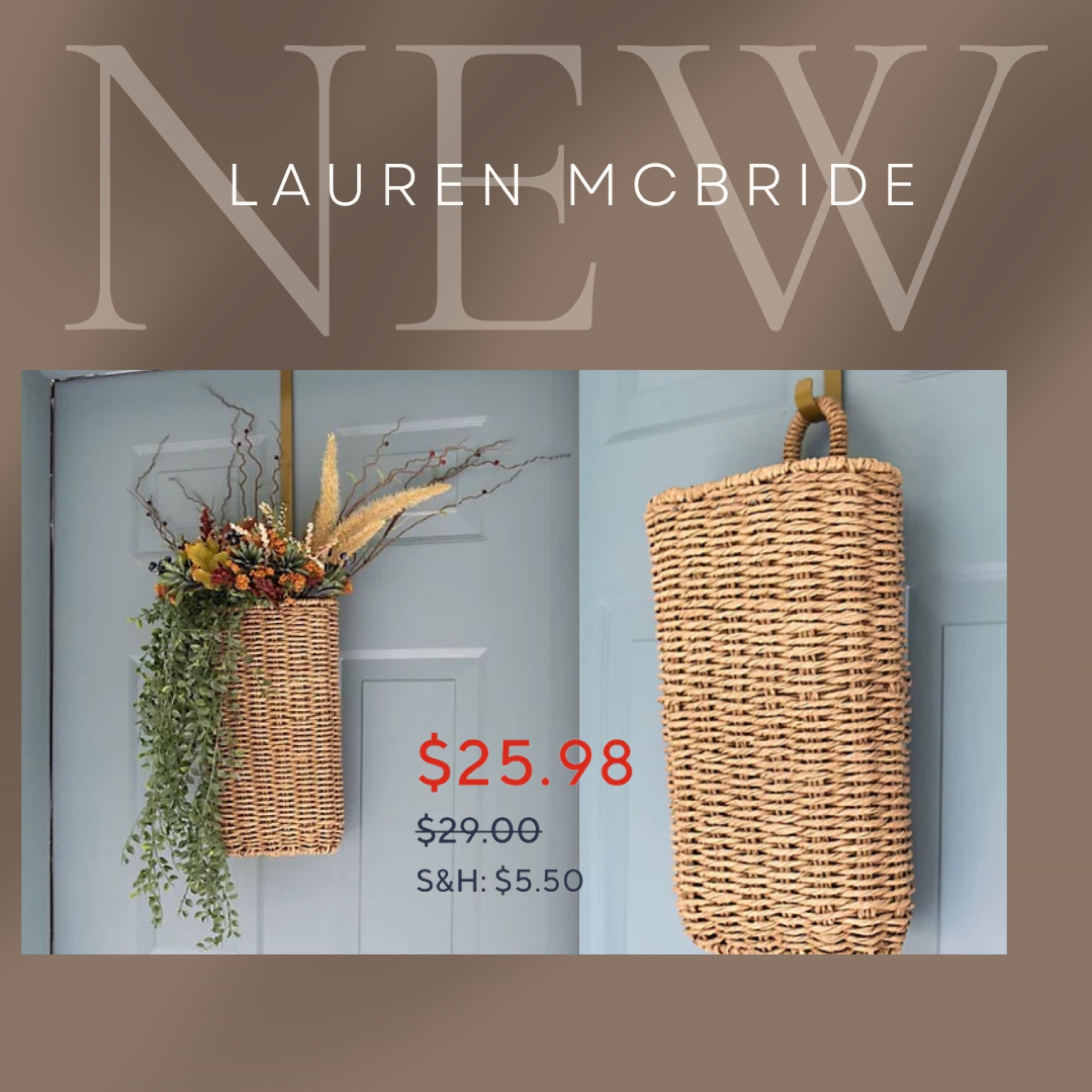 New door basket with hook.  On sale at @qvc  

#LTKsalealert #LTKFind #LTKhome