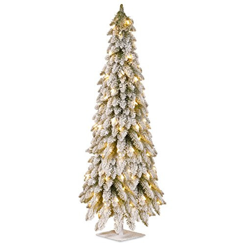 National Tree 60 Inch Snowy Downswept Forestree with 200 Clear Lights on a Metal Plate Stand (FTDF1-60ALO) | Amazon (US)