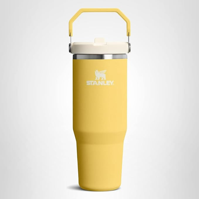 STANLEY IceFlow 2.0 Flip Straw Tumbler with Handle 30 oz | Twist On Lid and Flip Up Straw | Leakp... | Amazon (US)