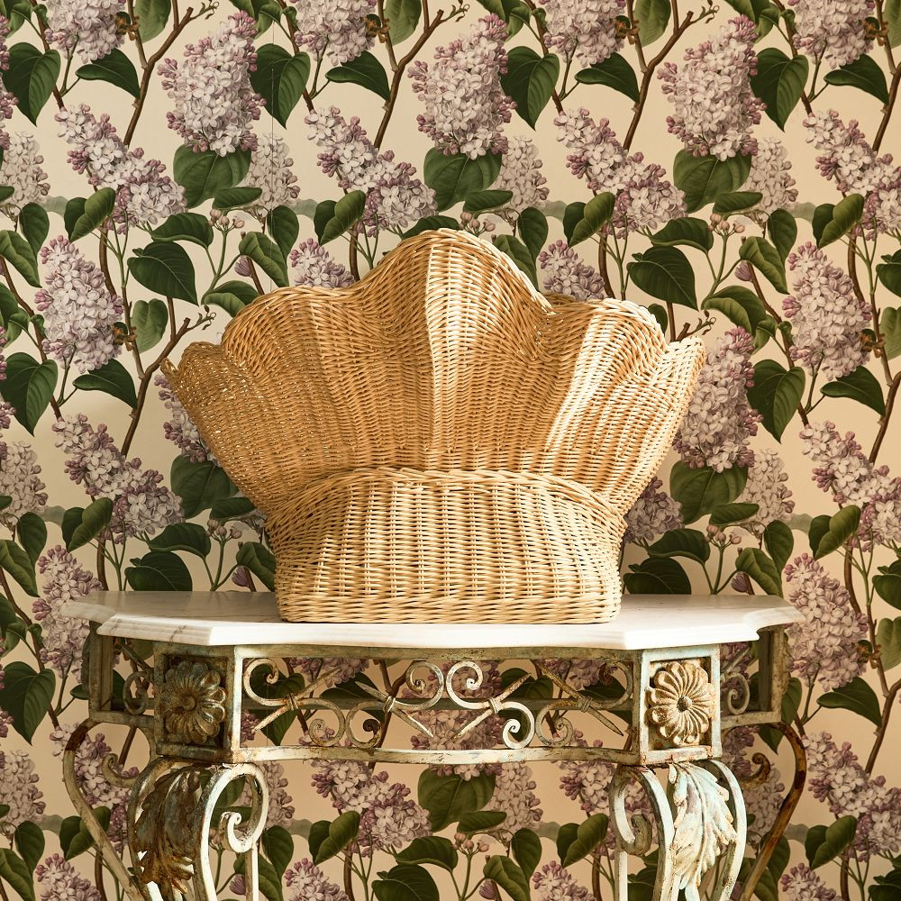 Shelly Rattan Basket | GreenRow