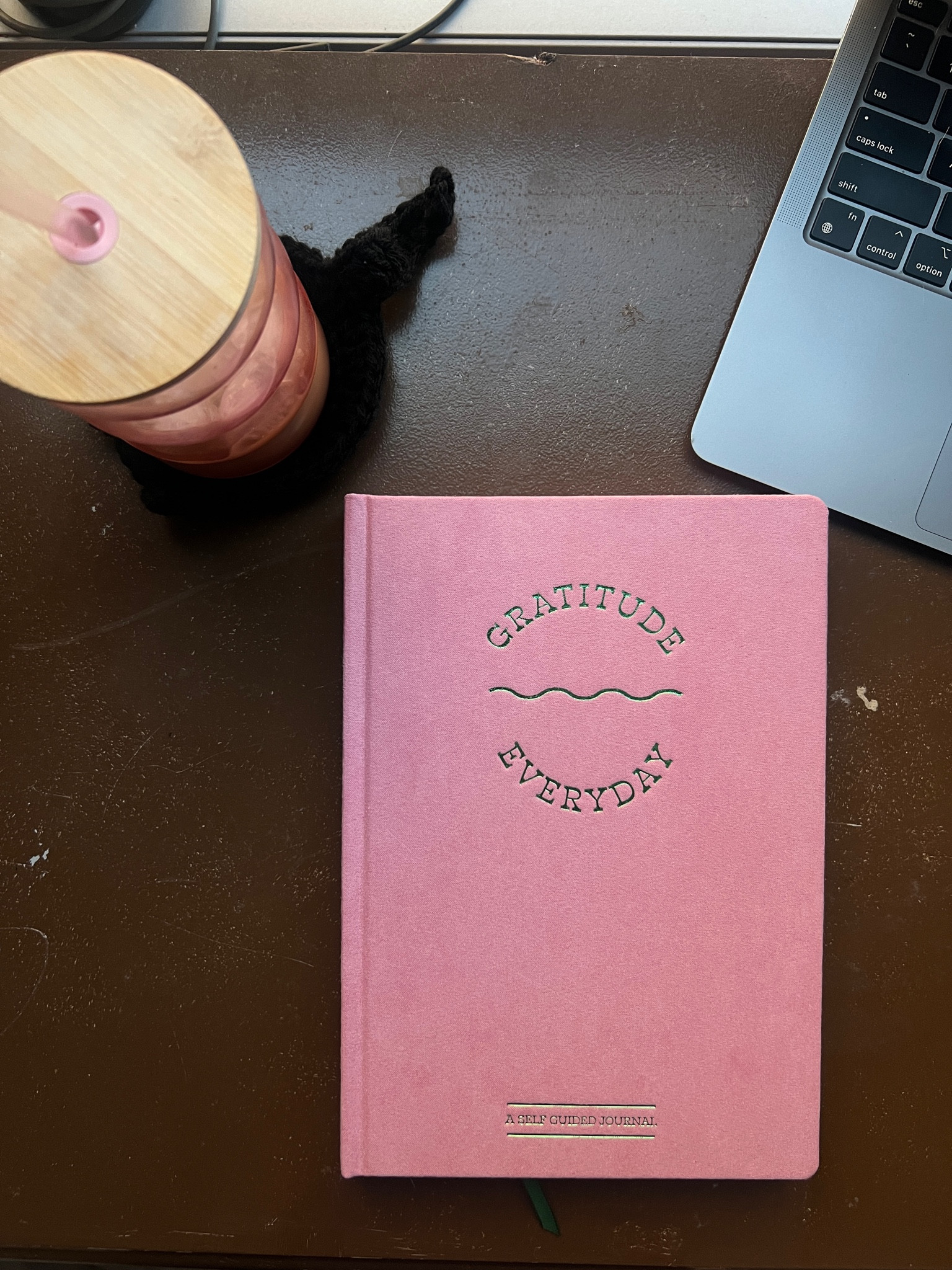 Daily Gratitude Planner 

#LTKHome #LTKGiftGuide #LTKTravel