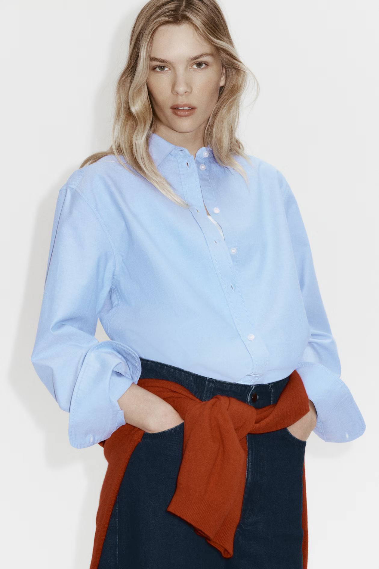 Oxford Shirt | H&M (US + CA)
