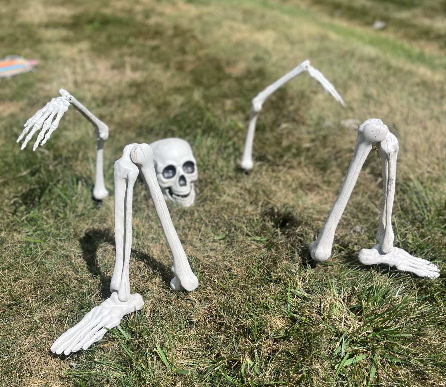 Yard Skelly 🖤💀

#LTKFallSale #LTKHome #LTKSeasonal