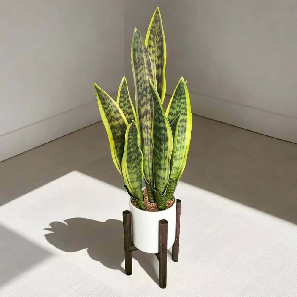 GreenBoxx Artificial Snake Plant Pot, 27" Portable Faux Potted Air-Purifying Indoor Plant | Home ... | Amazon (US)