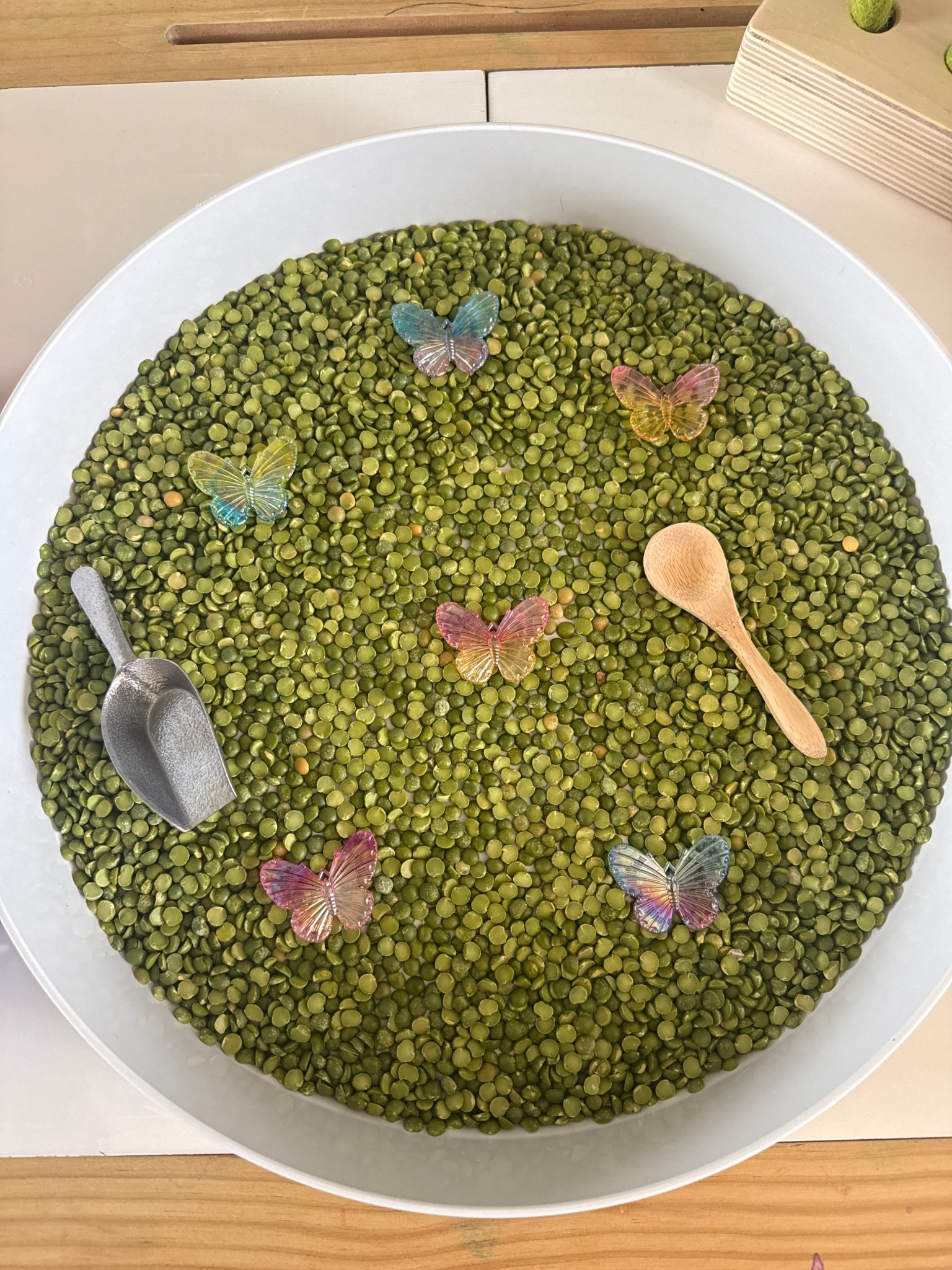 Spring Sensory Tray! 

Here’s your sign to use a serving tray for sensory play! The inserts are perfect for loose pieces. 

#sensorytray #toddleractivities #targetfinds #amazonfinds #target #sensoryplay #finemotoractivities 

#LTKmomlife #LTKHome #LTKKids