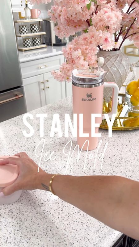 Stanley ice mold from Amazon 