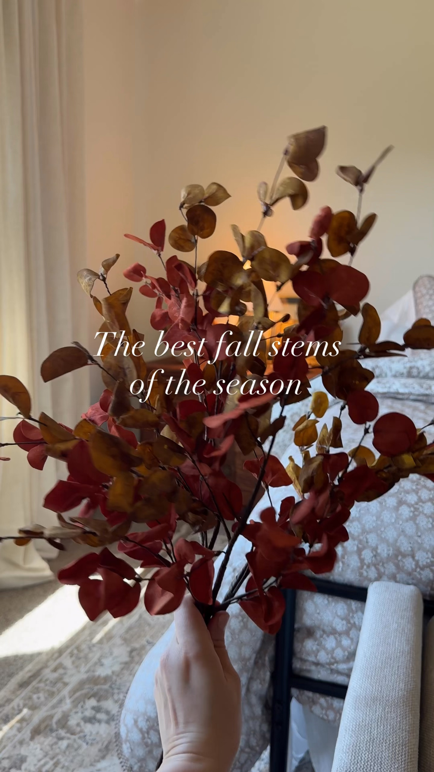 These are the softest petals with the best colors for fall! I ordered them for the room makeover we did and had to buy some for myself! 

#LTKHome #LTKSeasonal