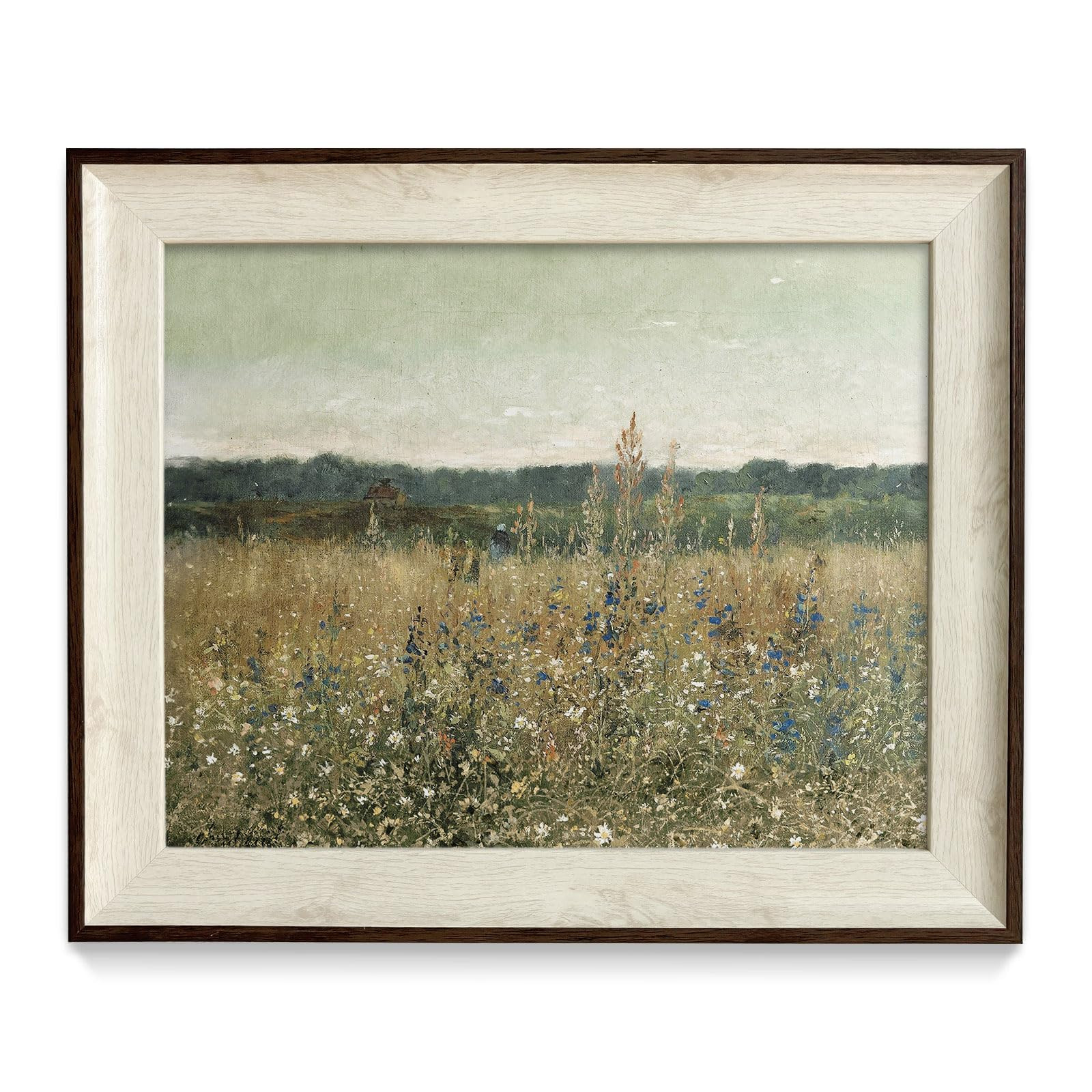 razliubit Vintage Framhouse Framed Wall Art Prints, Replaceable Wall Decors for Room Aesthtic, Sm... | Amazon (US)