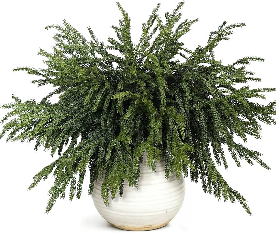 20 Pcs 18"Lifelike Touch Artificial Norfolk Pine Branches for Christmas | Amazon (US)