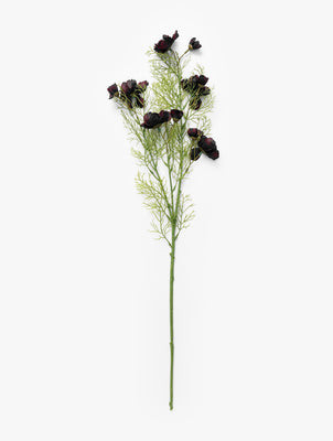 Burgundy Cosmos Stem | McGee & Co. (US)