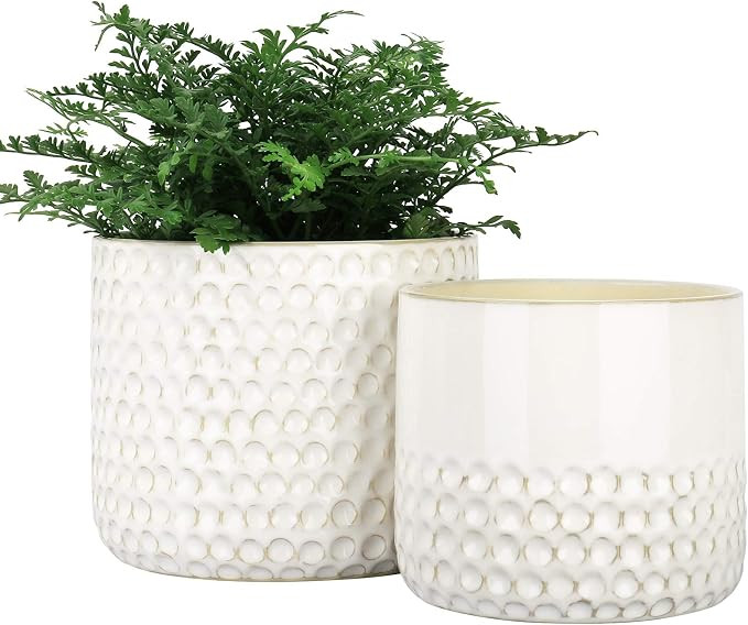 La Jolie Muse Ceramic Planter Flower Plant Pots- 6.7+5.5 Inch Concave Dot Patterned Cylinder Flow... | Amazon (US)