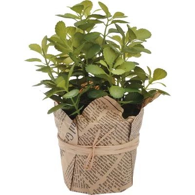 Faux Green Plant (Set of 3) | Wayfair North America