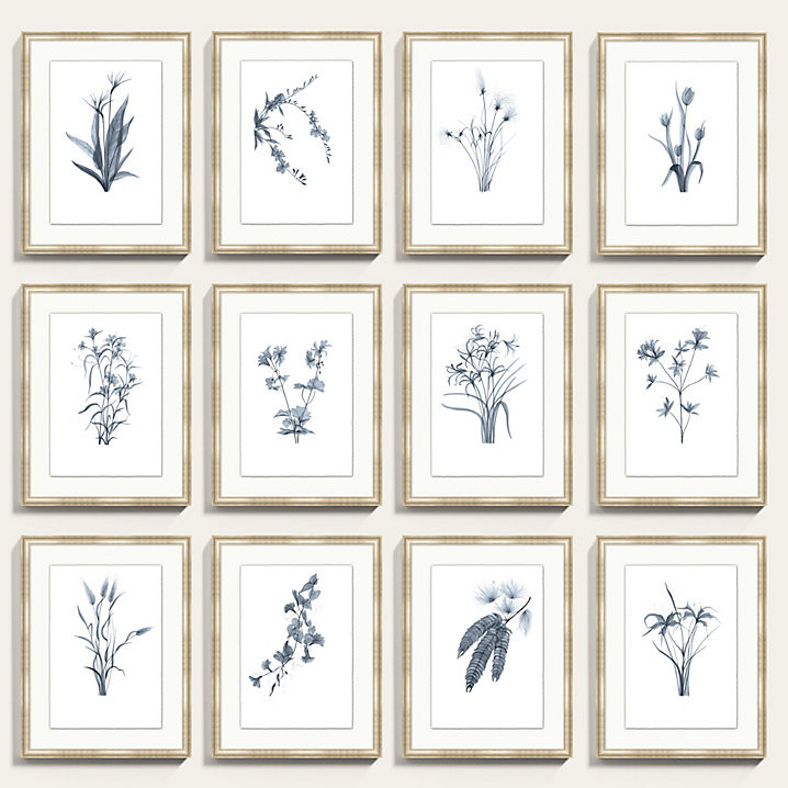 Fragile Blossoms Blue Florals Framed Art Print Series | Ballard Designs, Inc.