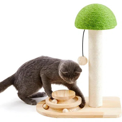 Cat Scratching Post, Mushroom Cat Scratcher with Sisal Ropes, Interactive Track Ball Toy for Small Kittens, 2-in-1 Wood Scratch Toy with Dangling Plus | Wayfair North America