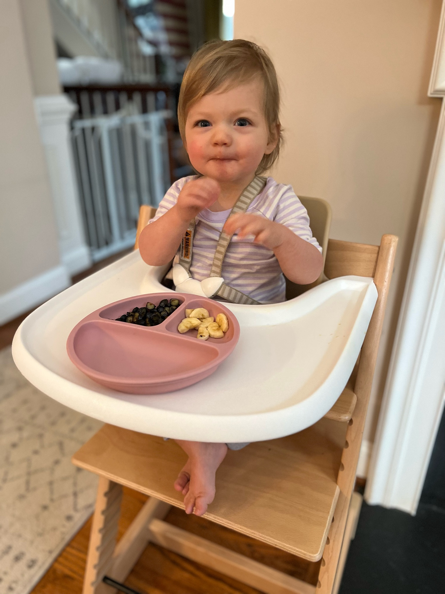 Best plates for baby’s and kids 
.
.
Amazon / amazon find / plate / baby item / infant/ toddler / kid item / eating / 

#LTKbaby #LTKkids