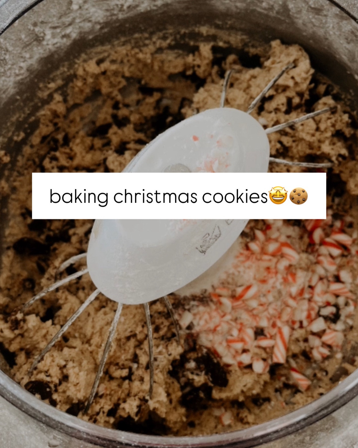 baking peppermint chocolate chip cookies for christmas in my Bosch Mixer! Bosch mixers are on sale through the end of the year and my code GRACEKRAEM20 will save you an additional $20 at checkout on top of the sale price. 

bosch mixers go up in price starting january 7!



#LTKSeasonal #LTKSaleAlert #LTKHoliday