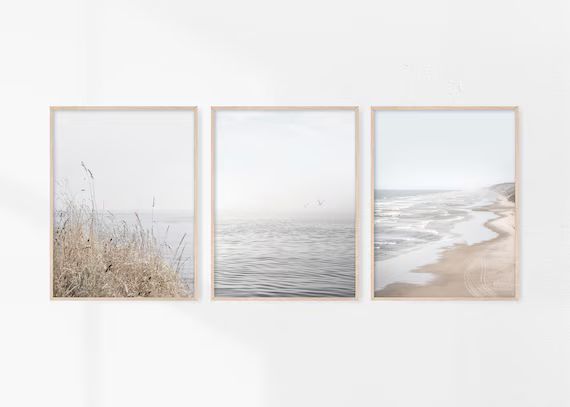 Coastal Set of 3 Beach Printable Art Dried Pampas Grass - Etsy | Etsy (US)