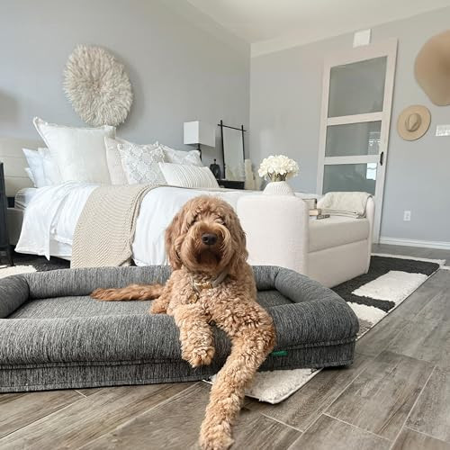 Newton Orthopedic Pet Bed - Washable Bed for Large Dogs, Puppy Bed, Crate Bed, with Removable & Breathable Dog Bed Cover, Comfy & Durable, Dog Essentials, Large | Amazon (US)