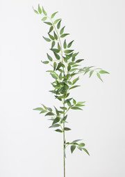Fake Leaves Tall Italian Ruscus Branch - 49" | Afloral (US)