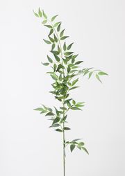 Fake Leaves Tall Italian Ruscus Branch - 49" | Afloral (US)