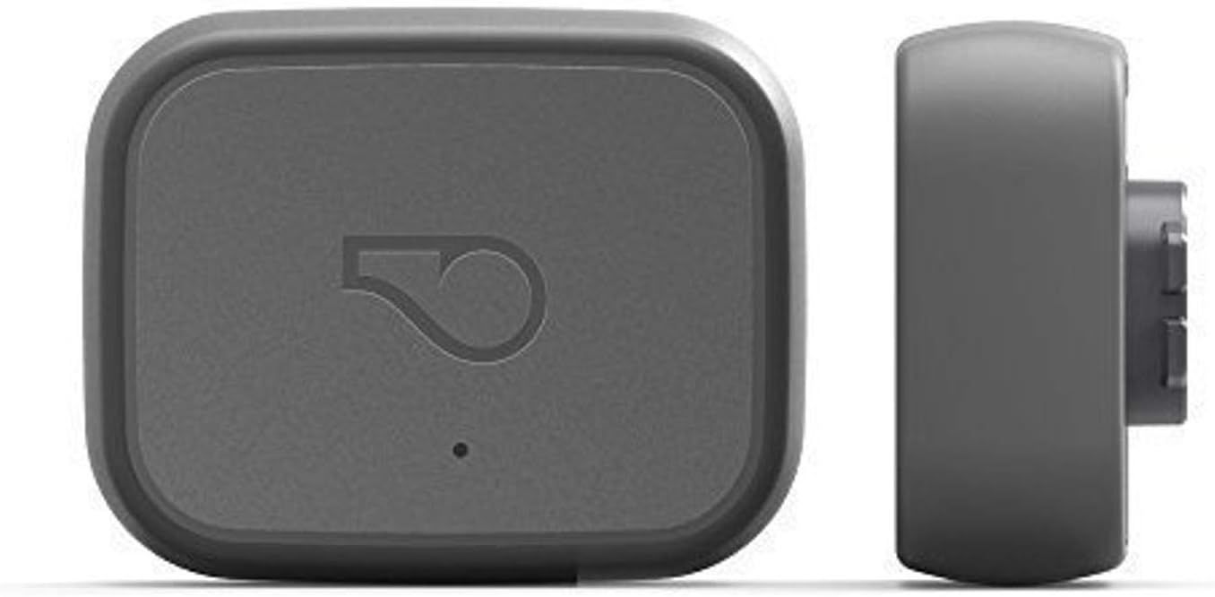 Whistle 3 / GPS Pet Tracker & Activity Monitor / Grey | Amazon (US)