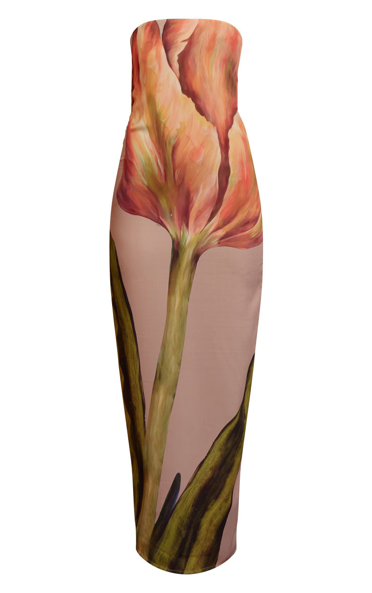 Stone Oversized Chiffon Floral Print Bandeau Maxi Dress | PrettyLittleThing UK