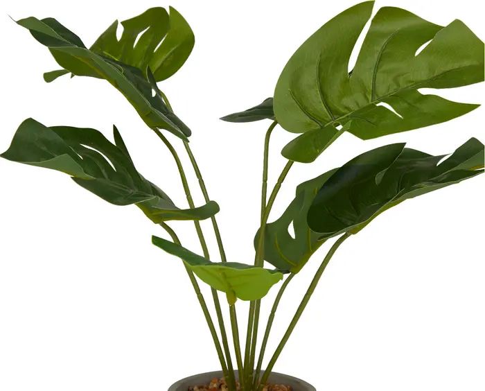 Green Faux Foliage Monstera Artificial Plant with Colorblock Pot | Nordstrom Rack