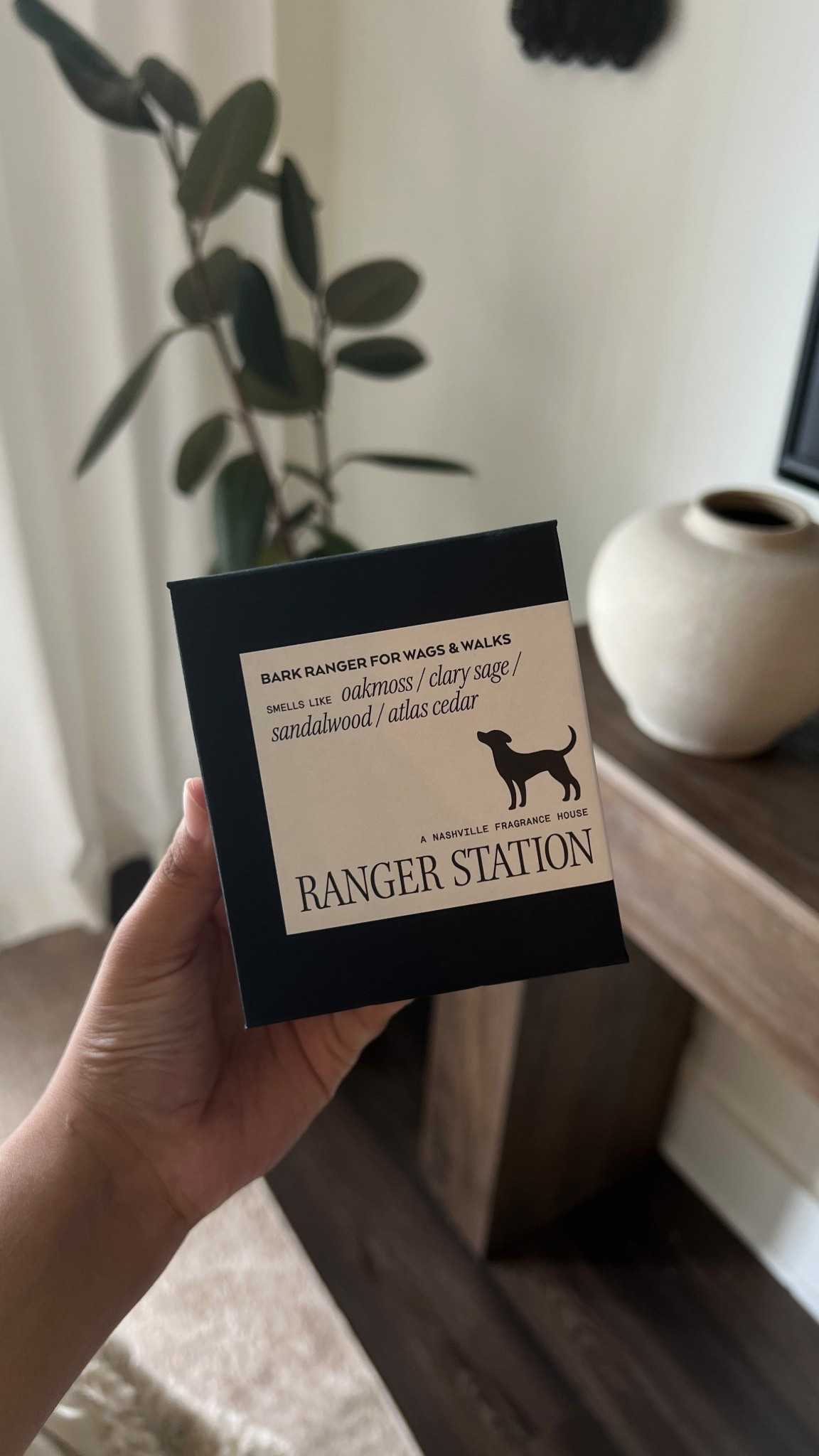 This candle smells amazing and 15% of profits go to a nonprofit dog rescue 🥹

#LTKSaleAlert #LTKHome