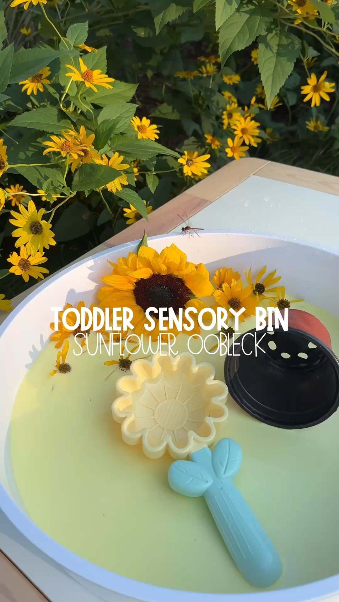 🌻 Sunflower Oobleck! 🌻

I made this ooey-gooey yellow oobleck for my toddler, and…she. did. not. stop. playing! 😳 25 minutes straight—this is HUGE for my 19-month-old!

Here’s what we did:
✨ 2 cups cornstarch + 1 cup water (added more to get that perfect watery ooze)
✨ A few drops of yellow food coloring for sunshine vibes 🌞
✨ Fresh flowers from the garden + a couple sunflowers
✨ A sunflower scoop I snagged from Target last spring + a random plastic pot we had lying around

💡 Mom tip: You can tweak the water for your preferred texture! 

Sensory play is messy, hilarious, and magical! My toddler couldn’t get enough, and honestly, neither could I. 🖐️💛

I’ll link everything in my LTK if you are looking! 👀 

#toddlersensory #sensorybin #toddleractivity #learningthroughplay 


#LTKFamily #LTKSeasonal #LTKKids