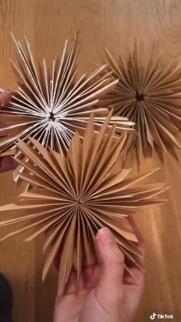 Coffee Filter Snowflakes DIY

#LTKVideo #LTKHoliday #LTKhome