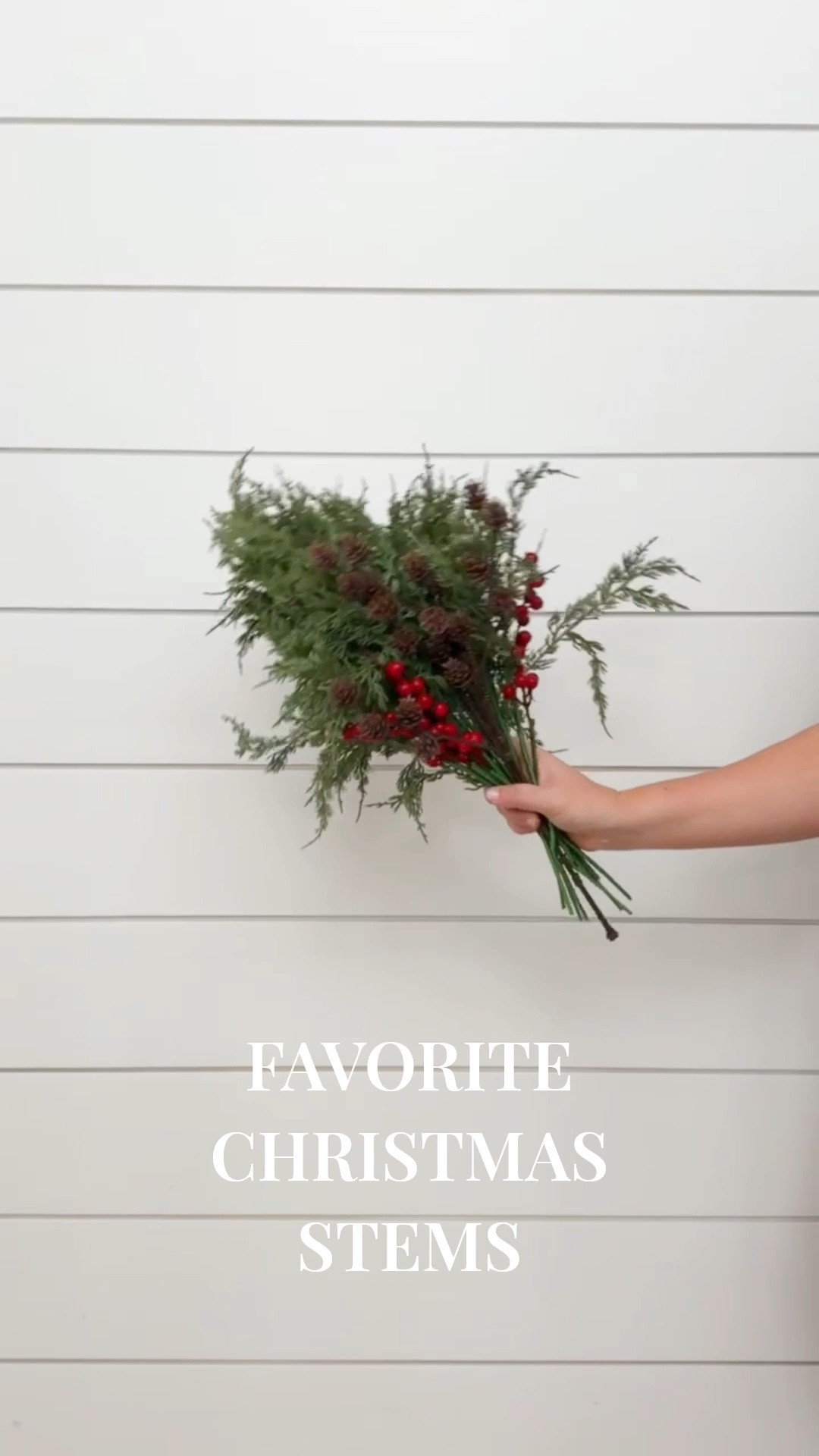 Some of my favorite Christmas stems this season! #ltkholiday #ltksalealert #ltkfindsunder50 #ltkfindsunder100 #ltkstyletip

#LTKHome #LTKHoliday #LTKFindsUnder50