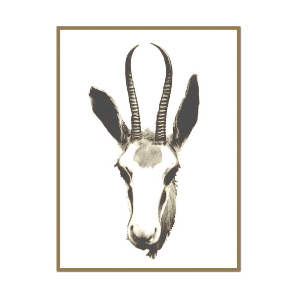 Gazelle | Urban Garden Prints