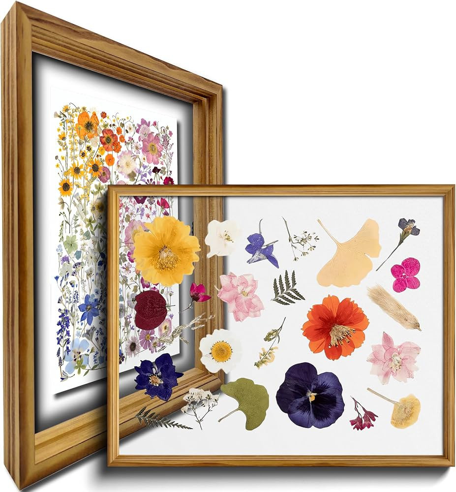 8x10 Floating Picture Frame 2 Pack Double Glass Floating Rustic Picture Frames For Pressed Flower... | Amazon (US)