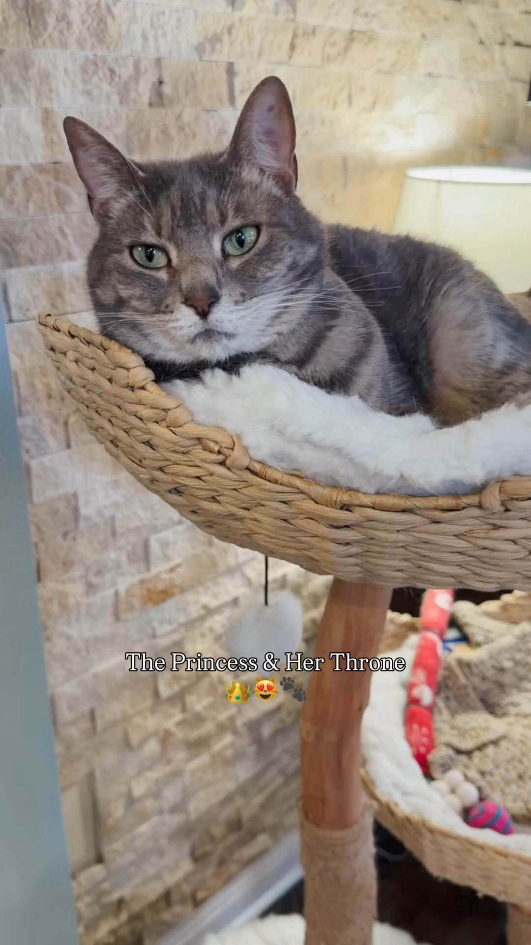 Olivia has found her spot for the afternoon. She will be there indefinitely, surveying her kingdom and waiting for snacks.

This cat tree is a favorite of both mine and the kitties — it’s pretty, so I like it as it’s own kind of decor, and it’s comfy cozy, so the kitties spend hours lounging on it and scratching on the (surprisingly durable!) posts. 

It’s kind of funny. The cats sort of assigned themselves spots on the tree. Olivia tends to go for the top basket, while Emory often lounges in the second level. Louis has been really into the cat condo at the bottom lately. Sometimes they switch it up, but they certainly have their own little routines.

#LTKdayinmylife #LTKstorytime #LTKHome