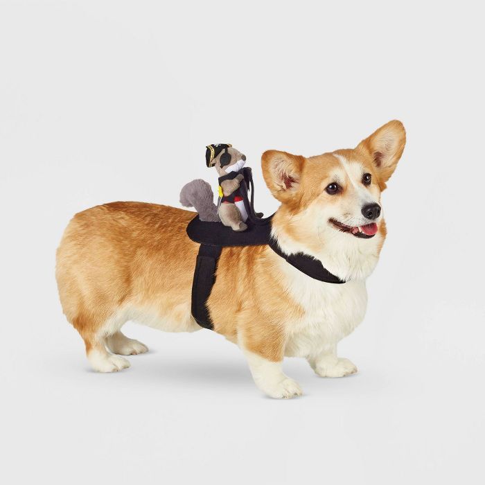 Squirrel Pirate Rider Dog and Cat Costume - Hyde & EEK! Boutique™ | Target