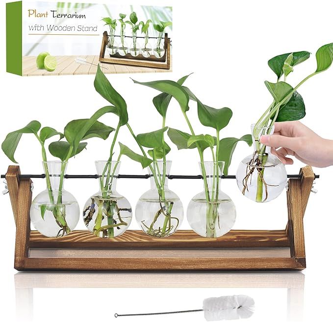 Plant Propagation Station, Gifts for Women, Home Office Garden Decor Planter(5 Bulb Vase) | Amazon (US)