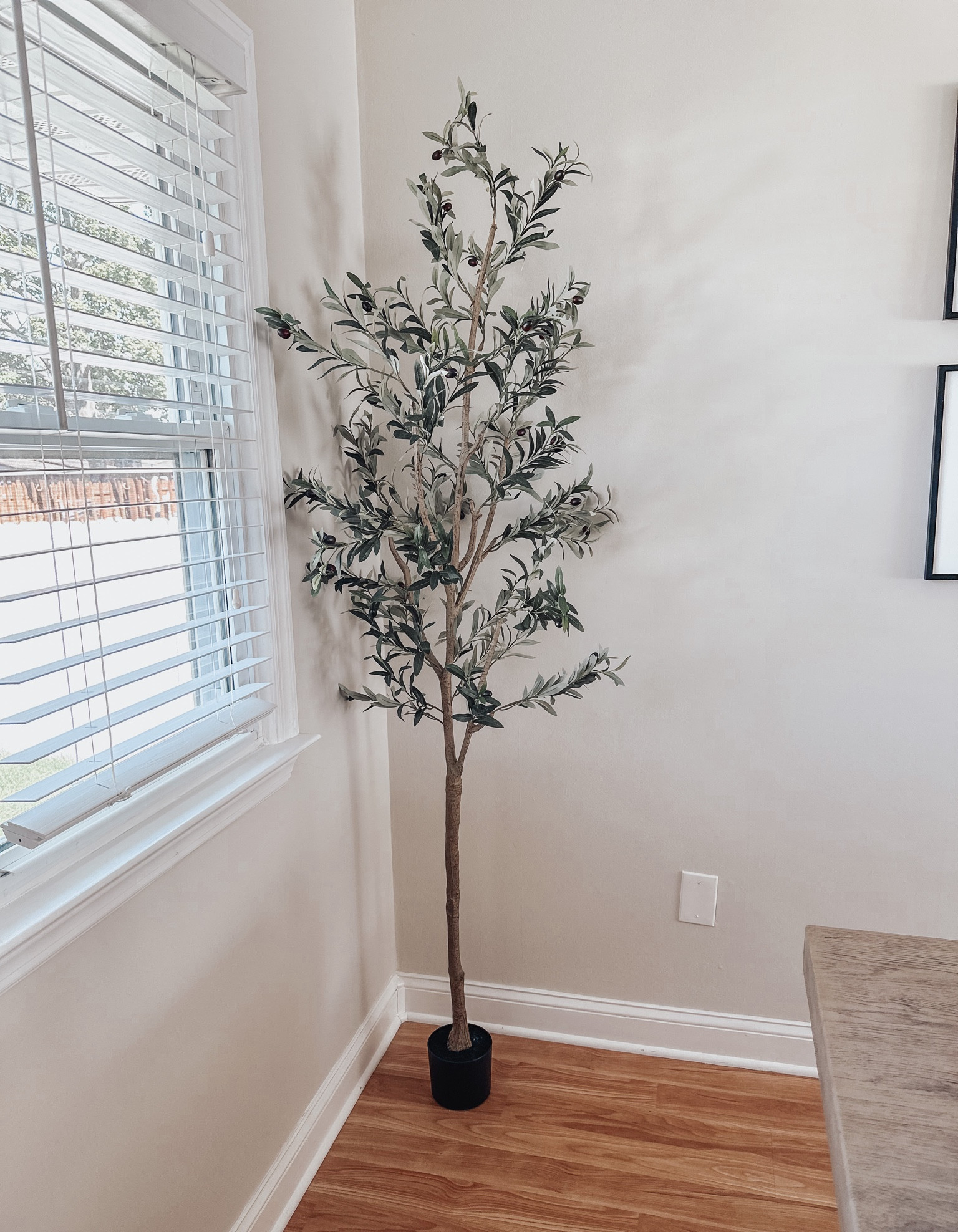 I found this gorgeous faux olive tree on AMAZON! It’s the perfect piece to add to any corner of your home! This is a 7ft but it comes in multiple different heights! 

#homedecor #homedesign #interiordesign #livingroominspo #homedecorinspo #olivetree #amazon #amazonfinds #amazonhome #amazonsale #falldecor 

#LTKSale #LTKhome