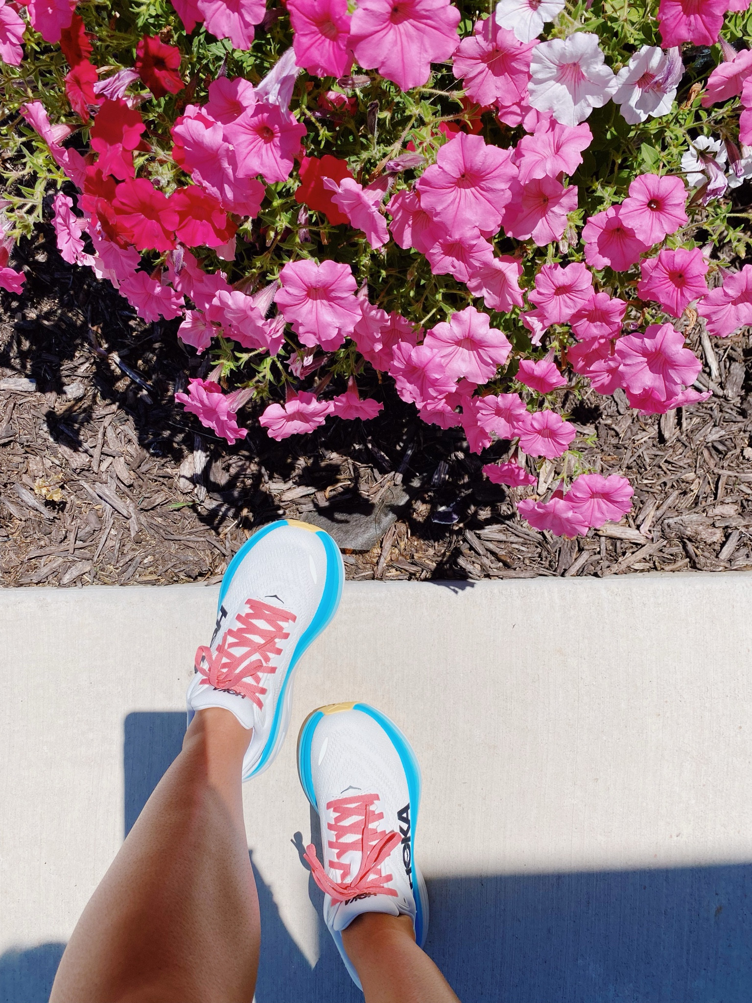 Just got a new pair of Hokas & am in loveeeee!!!!💕💕

#LTKShoeCrush #LTKActive